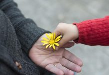 Să fii bun costă zero lei! – O pildă cu multă învățătură