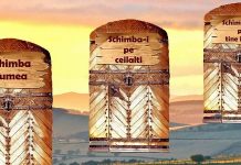 Lumea este oglinda sufletului tău iar în pe drumul tău prin lume, vei întâlni trei porți care îți vor schimba modul în care privești viața (Pildă-Înțeleptul și cele trei porți)