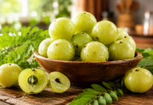 Este unul dintre cele mai apreciate fructe din lume. Amla conține mult mai multă vitamina C decât lămâia și este tot mai căutată și în România Fructe proaspete de amla, cunoscute pentru conținutul ridicat de vitamina C și antioxidanți