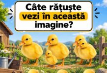Test de atenție: Câte rățuște vezi în această imagine? Răspunsul îi păcălește pe mulți