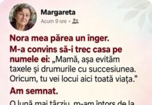 Nora m-a convins să-i trec casa pe numele ei, „ca să evităm succesiunea și drumurile după acte”. O lună mai târziu mi-a schimbat încuietorile